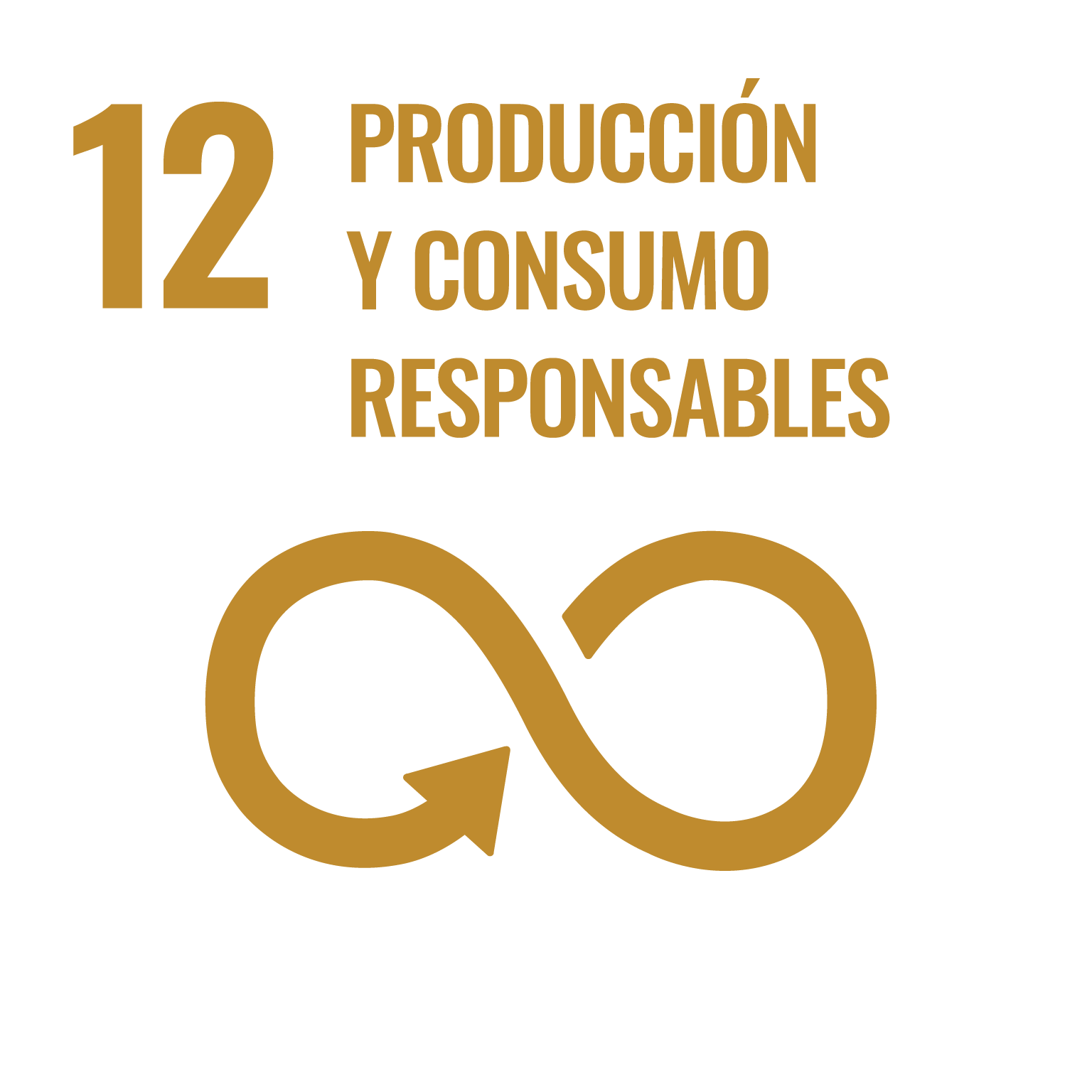 Objetivo 12: Garantizar modalidades de consumo y producción sostenibles