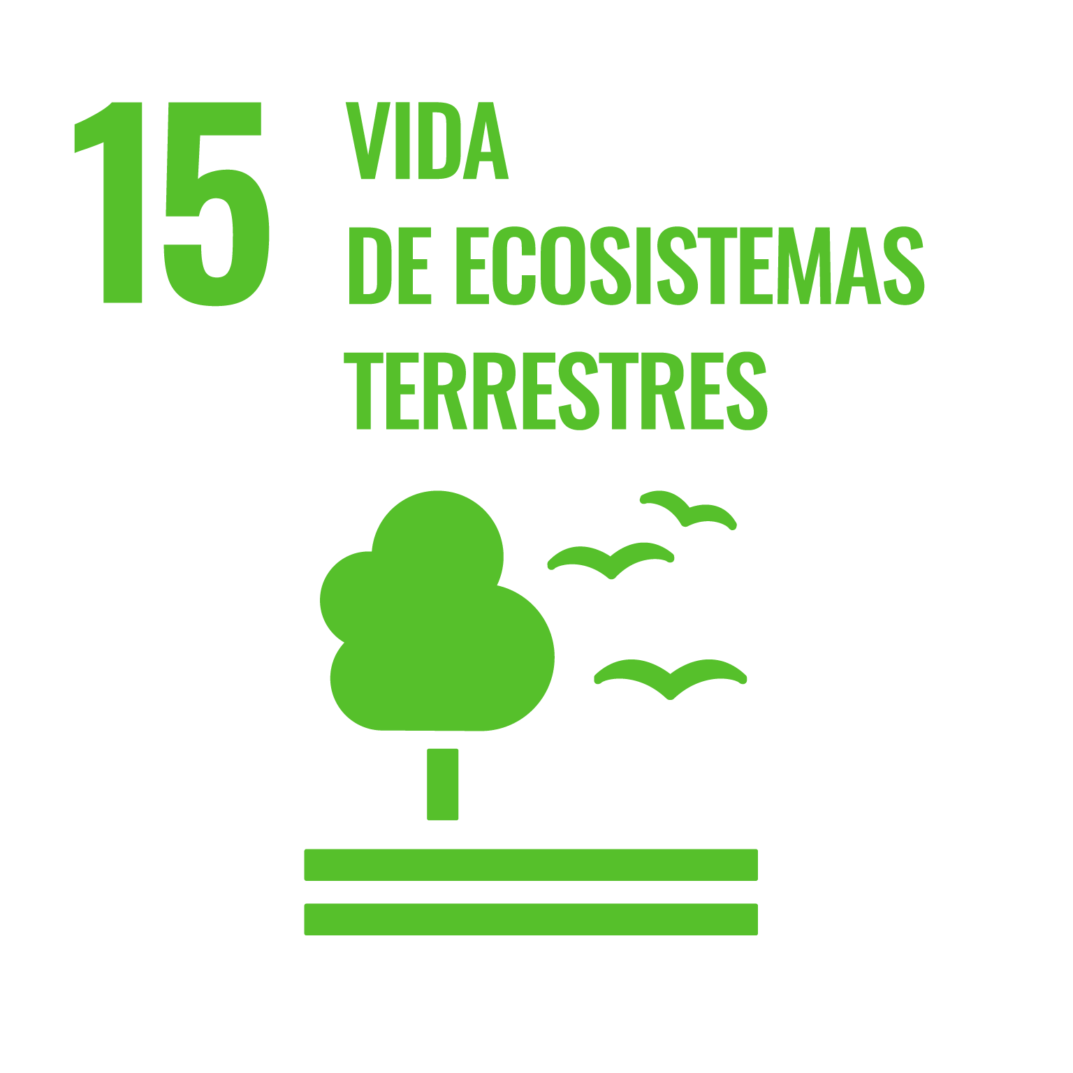 Objetivo 15: Gestionar sosteniblemente los bosques, luchar contra la desertificación, detener e invertir la degradación de las tierras, detener la pérdida de biodiversidad